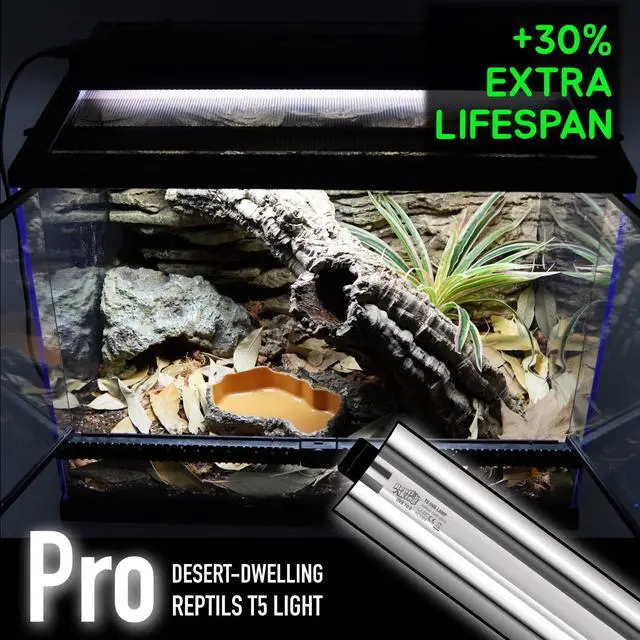 Alt view image 7 of 7 - ReptiKing Upgraded T5 UVB Reptile Light, 10.0 UVB 8W German Made Fluorescent Lamp and Fixture Kit, for Desert-Dwelling Reptiles, Bearded Dragon,Tortoise, Snake, Strip Linear UVB Lamp Bulb,12 Inch