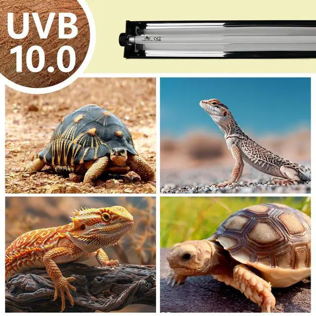 Alt view image 4 of 7 - MCLANZOO T5 UVB Lighting Combo Kit for Reptiles,8W Light Fixture with Desert 10.0 T5 UVB Light Bulbs Terrarium Hood Heat Lamp for Breaded Dragon,Turtle,Frog,Lizard,Tortoise,Gecko,Snake