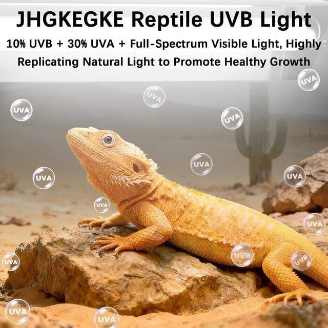Alt view image 2 of 7 - T5 10.0 UVB Reptile Light Fixture Combo Kit, 24W High Output UVA UVB Light with Upgraded Wider Alloy Reflector for Bearded Dragons Lizards Tortoises and Other Desert or Tropical Reptiles (22.7Inch)
