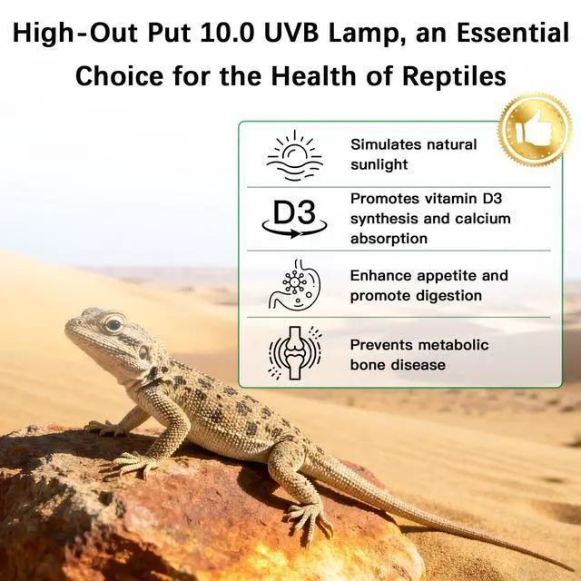 Alt view image 3 of 7 - T5 10.0 UVB Reptile Light Fixture Combo Kit, 24W High Output UVA UVB Light with Upgraded Wider Alloy Reflector for Bearded Dragons Lizards Tortoises and Other Desert or Tropical Reptiles (22.7Inch)