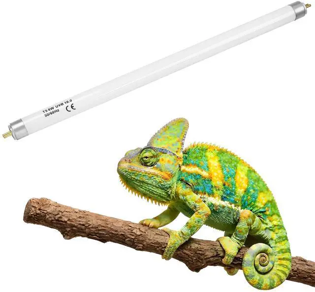 Main image of NEPTONION T5 HO UVB 10.0 Reptile Replacement Tube, 8W 12 in Linear Fluorescent Lamp, for Tropical Reptiles