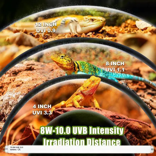 Alt view image 5 of 7 - NEPTONION T5 HO UVB 10.0 Reptile Replacement Tube, 8W 12 in Linear Fluorescent Lamp, for Tropical Reptiles