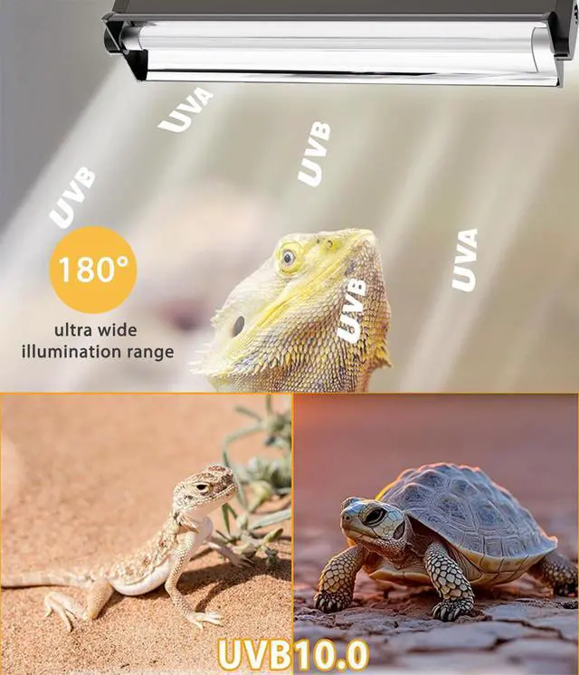Alt view image 2 of 7 - MouMouPurr T5 UVB Reptile Light Fixture Combo Kit - 12 Inch 8W Terrarium Hood 10.0 UVA UVB Bulb with High-Efficiency Reflector for Desert Reptiles & Amphibians (Bearded Dragons, Turtles, Tortoises)