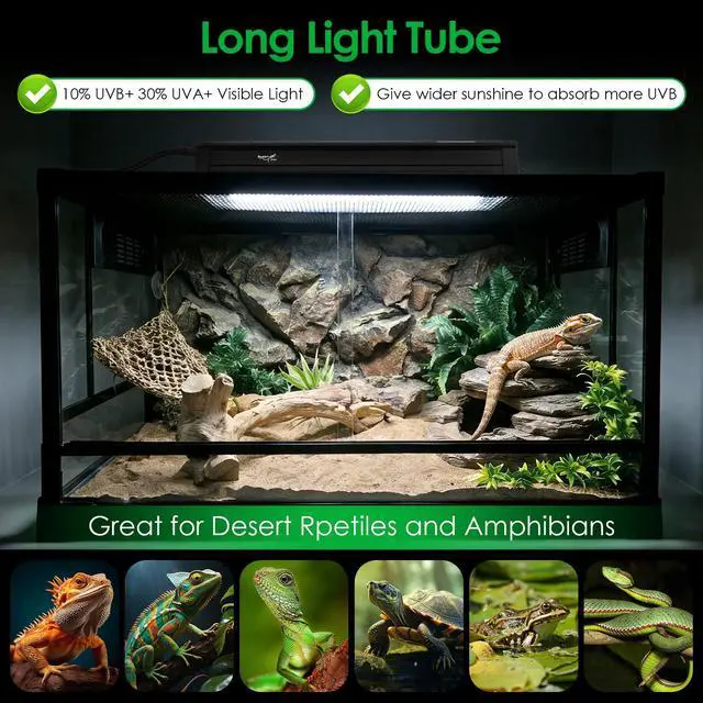 Alt view image 2 of 7 - UVB Light for Reptiles Bearded Dragon, T5 UVB Reptile Light Fixture HO UVB Bulb Lighting Combo Kit 10.0 8W UVA UVB Reptile Light Bulb Terrarium Lamp Tube Bar for Snake Gecko Turtle Lizard, 12 Inch