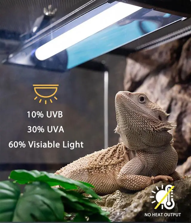 Alt view image 3 of 7 - MouMouPurr T5 UVB Reptile Light Fixture Combo Kit - 12 Inch 8W Terrarium Hood 10.0 UVA UVB Bulb with High-Efficiency Reflector for Desert Reptiles & Amphibians (Bearded Dragons, Turtles, Tortoises)