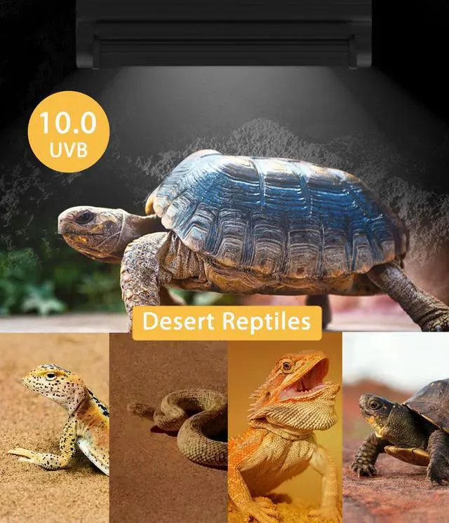 Alt view image 7 of 7 - MouMouPurr T5 UVB Reptile Light Fixture Combo Kit - 12 Inch 8W Terrarium Hood 10.0 UVA UVB Bulb with High-Efficiency Reflector for Desert Reptiles & Amphibians (Bearded Dragons, Turtles, Tortoises)