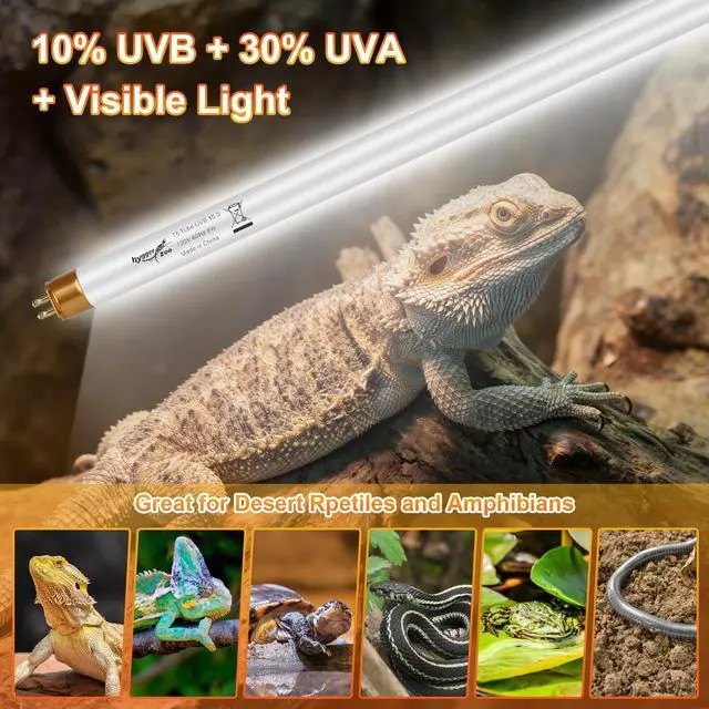 Alt view image 3 of 7 - UVB Light for Reptiles Bearded Dragon, 3 Pack T5 UVB Reptile Light UVB Bulb 10.0 8W UVA UVB Reptile Light Bulb Terrarium Light Lamp Tube for Turtle Chameleon Leopard Gecko Snake Tank, 12 Inch