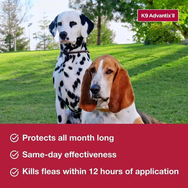Alt view image 4 of 7 - K9 Advantix II Medium Dog Vet-Recommended Flea, Tick & Mosquito Treatment & Prevention | Dogs 11-20 lbs. | 1-Mo Supply