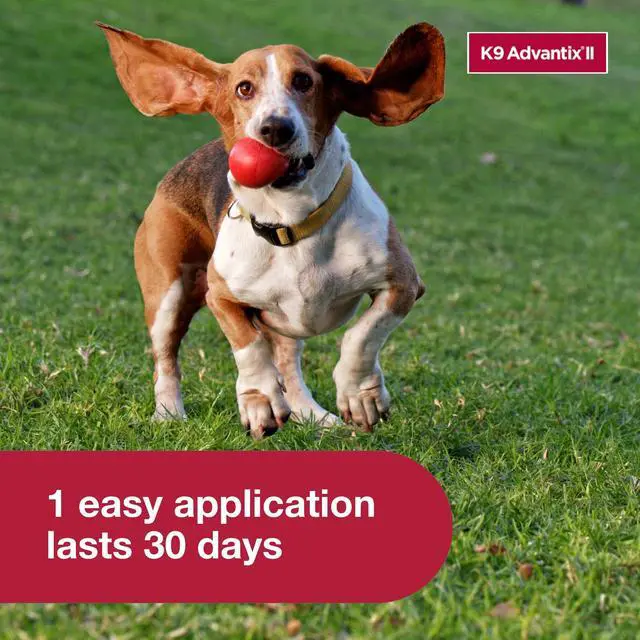 Alt view image 6 of 7 - K9 Advantix II Medium Dog Vet-Recommended Flea, Tick & Mosquito Treatment & Prevention | Dogs 11-20 lbs. | 1-Mo Supply