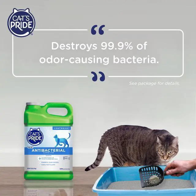 Alt view image 5 of 7 - Cat's Pride Antibacterial Cat Litter: Destroys 99.9% of Odor-Causing Bacteria - Powerful Odor Control - Premium Lightweight Clumping Litter - Scented, 12 Pounds