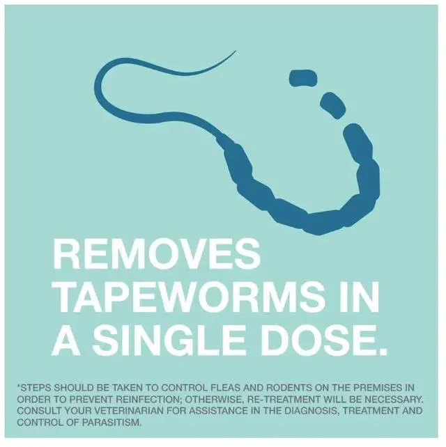 Alt view image 6 of 7 - Elanco Tapeworm Dewormer (praziquantel tablets) for Cats and Kittens 6 Weeks and Older, 3-count