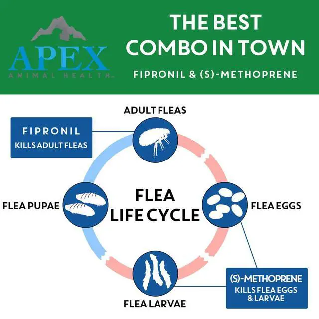 Alt view image 4 of 7 - Apex Plus Cat Flea and Tick Treatment | 6-Month Supply, Over 1.5 lbs | Flea Treatment for Cats & Kittens | 24-Hour Activation, Waterproof, 30-Day Protection