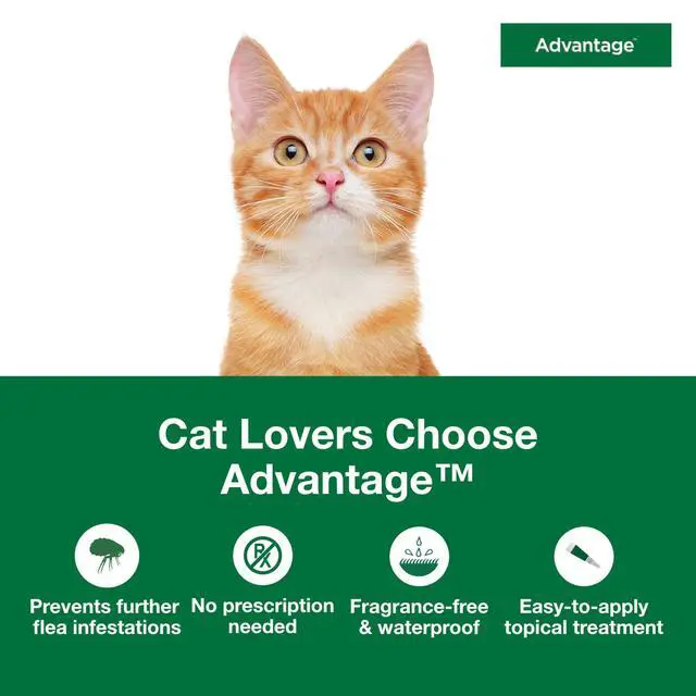 Alt view image 3 of 7 - Advantage Topical Cat Flea Treatment and Prevention for Small Cats 2-9 lbs. | Apply Flea Drops Monthly | 2 Treatments