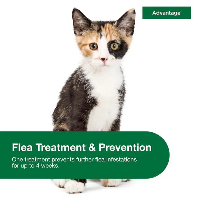 Alt view image 4 of 7 - Advantage Topical Cat Flea Treatment and Prevention for Small Cats 2-9 lbs. | Apply Flea Drops Monthly | 2 Treatments