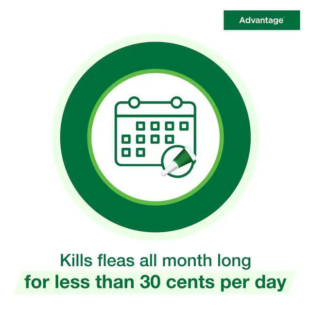 Alt view image 6 of 7 - Advantage Topical Cat Flea Treatment and Prevention for Small Cats 2-9 lbs. | Apply Flea Drops Monthly | 2 Treatments