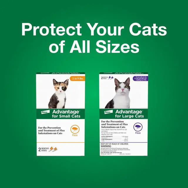Alt view image 7 of 7 - Advantage Topical Cat Flea Treatment and Prevention for Small Cats 2-9 lbs. | Apply Flea Drops Monthly | 2 Treatments