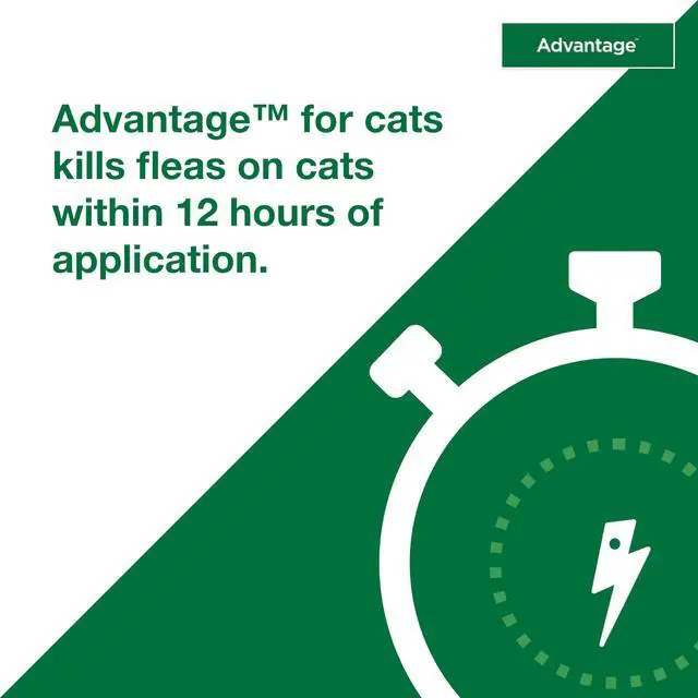 Alt view image 5 of 7 - Advantage Topical Cat Flea Treatment and Prevention for Small Cats 2-9 lbs. | Apply Flea Drops Monthly | 2 Treatments