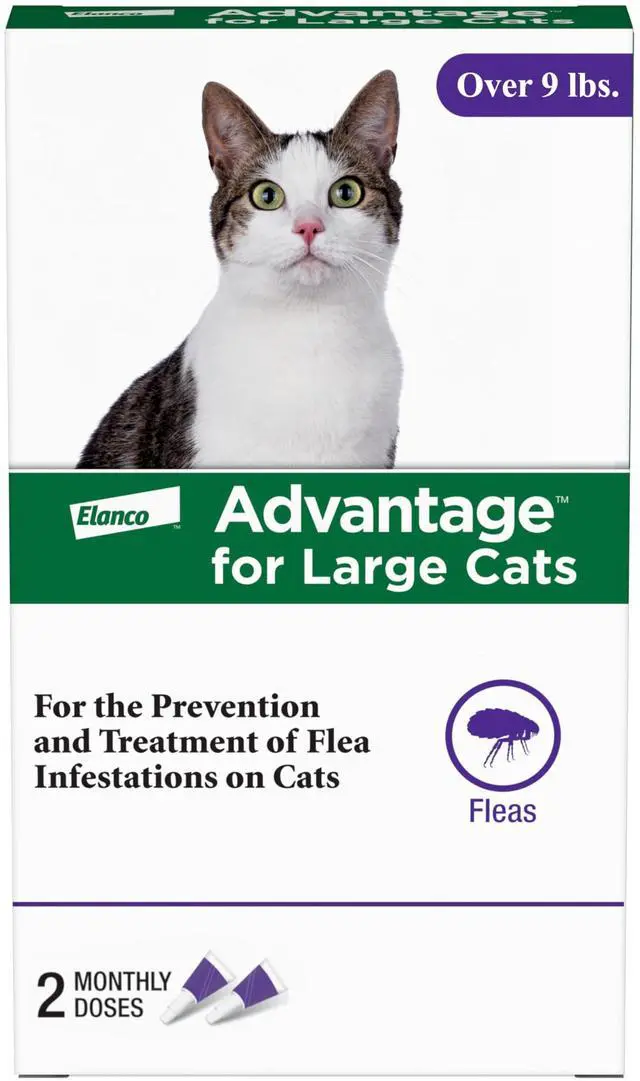 Main image of Advantage Topical Cat Flea Treatment and Prevention for Large Cats Over 9 lbs. | Apply Flea Drops Monthly | 2 Treatments
