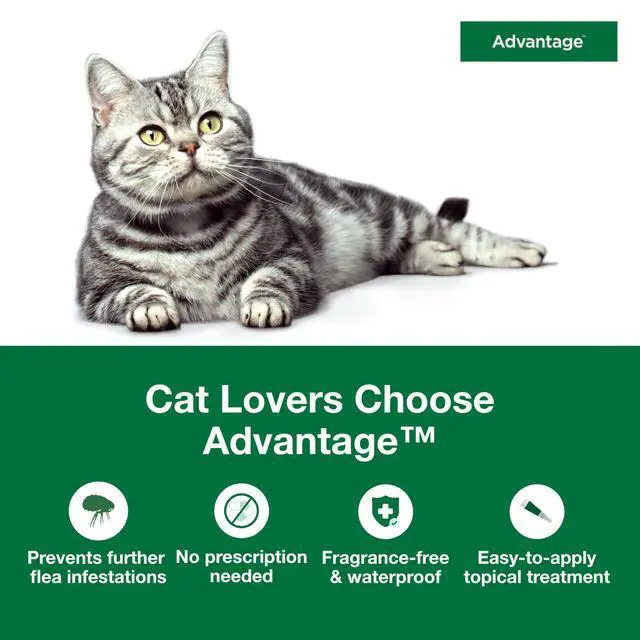 Alt view image 4 of 7 - Advantage Topical Cat Flea Treatment and Prevention for Large Cats Over 9 lbs. | Apply Flea Drops Monthly | 2 Treatments