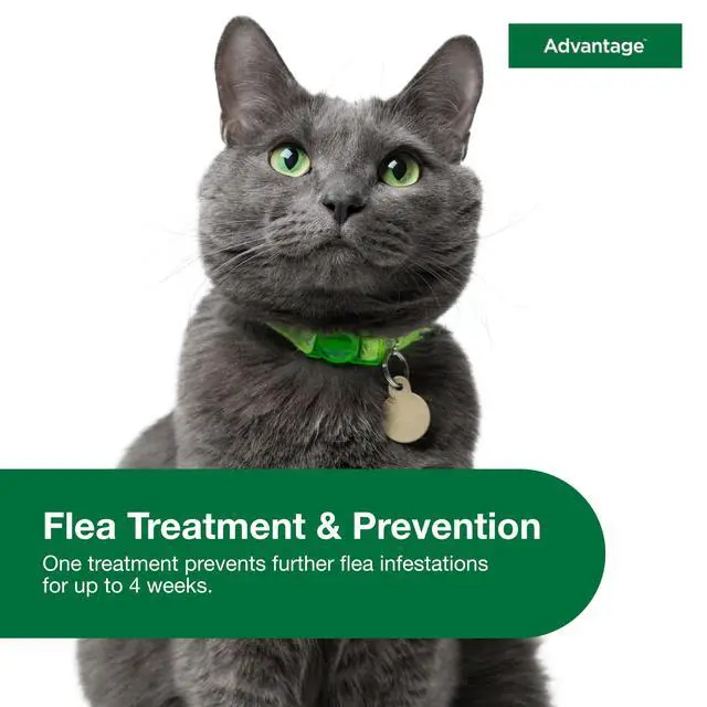 Alt view image 5 of 7 - Advantage Topical Cat Flea Treatment and Prevention for Large Cats Over 9 lbs. | Apply Flea Drops Monthly | 2 Treatments