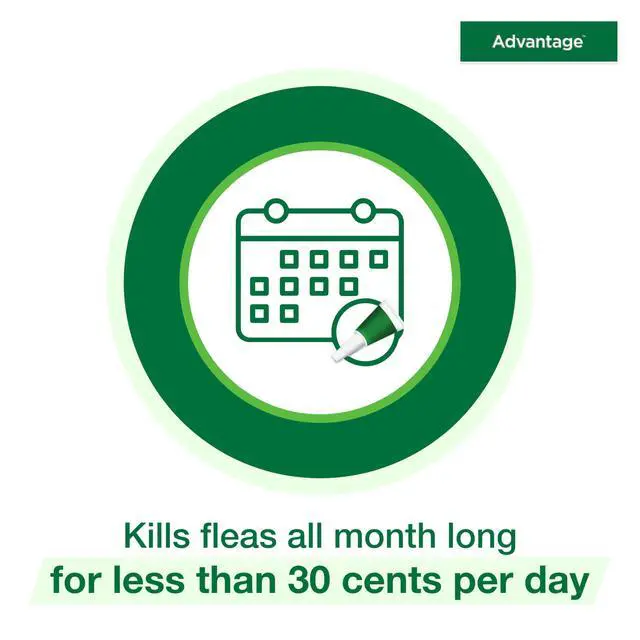 Alt view image 6 of 7 - Advantage Topical Cat Flea Treatment and Prevention for Large Cats Over 9 lbs. | Apply Flea Drops Monthly | 2 Treatments
