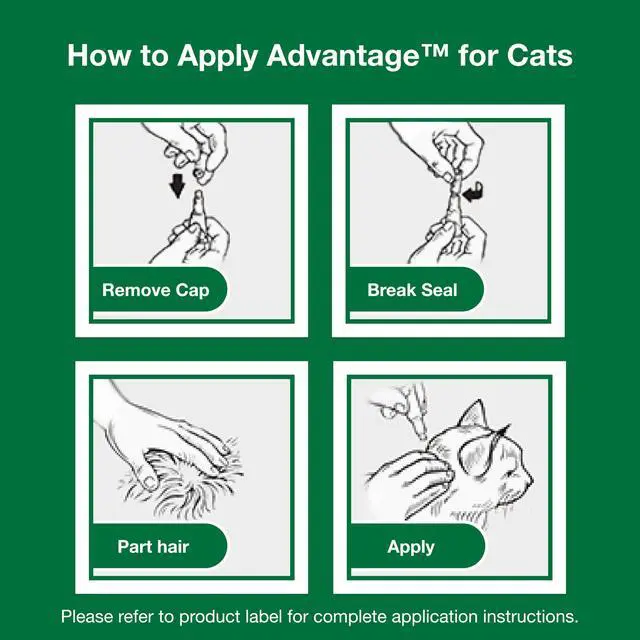 Alt view image 7 of 7 - Advantage Topical Cat Flea Treatment and Prevention for Large Cats Over 9 lbs. | Apply Flea Drops Monthly | 2 Treatments