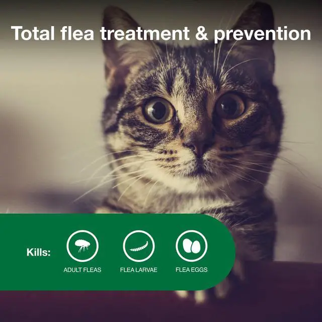 Alt view image 3 of 7 - Advantage II Small Cat Vet-Recommended Flea Treatment & Prevention | Cats 5-9 lbs | 1-Month Supply