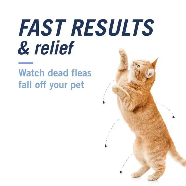 Alt view image 4 of 7 - PetArmor CAPACTION (nitenpyram) Oral Flea Treatment for Cats, Cat Flea Treatment Pill, Fast Acting Tablets Start Killing in 30 Minutes, 2-25 lbs, 6 Doses