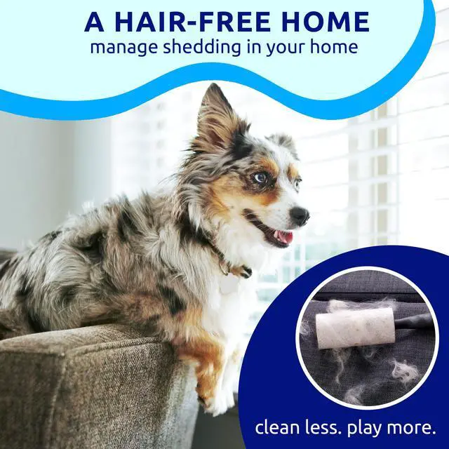 Alt view image 2 of 7 - Pat Your Pet Deshedding Dog Brush For Shedding Cat Brushes For Indoor Cats, Double-Sided Cat Brush Deshedding & Grooming Tool For Long Haired And Short Haired Dogs, Skin-Friendly