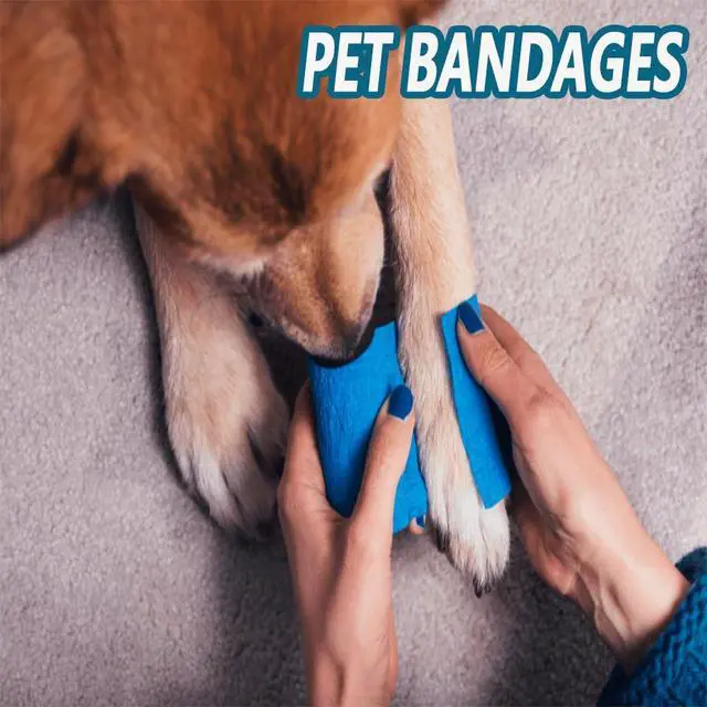 Alt view image 5 of 7 - 24 Pack Self Adherent Cohesive Bandage Wrap 2" x 5 Yards First Aid Tape