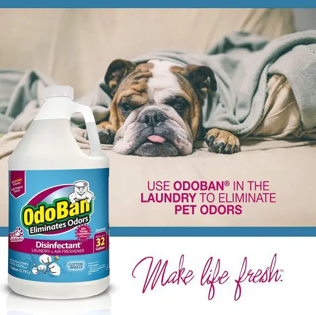 Alt view image 5 of 7 - Disinfectant Concentrate and Odor Eliminator, Made in the USA, Cotton Breeze Scent, 2 Gallons