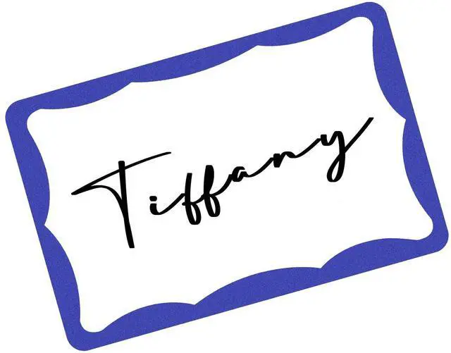 Main image of 390Pcs Name Tags, 3in x 2in Name Tag Stickers, Name Tags Sticker for School Office Home(White with Blue Border)