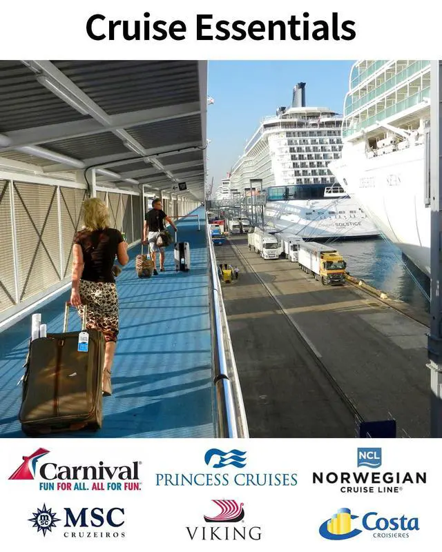 Alt view image 2 of 6 - 6 Pack Cruise Luggage tag Holder,Travel Essentials for Carnival, NCL, Princess, Royal Caribbean,Clear Luggage Tags with Zip Seal and Steel Loops, Cruise Essentials 2026