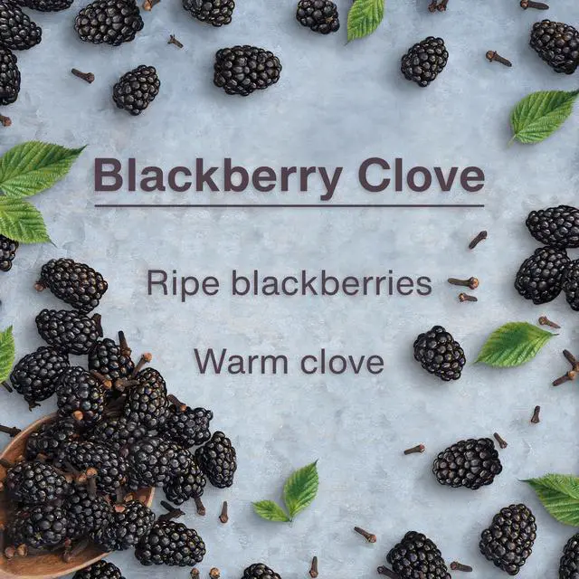 Alt view image 4 of 7 - Car Air Freshener | Hanging Tree Provides Long Lasting Scent for Auto and Home | 24 Air Fresheners |Blackberry Clove