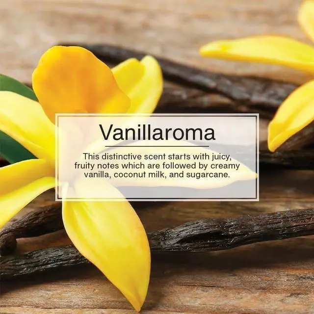 Alt view image 5 of 5 - Car Air Freshener | Hanging Paper Tree for Home or Car | Vanillaroma | 3 Pack
