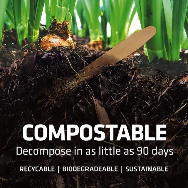Alt view image 4 of 7 - 5.5 Inch Wooden Coffee Stirrers, 500 Count, Disposable & Compostable Wood Coffee Stick Stirrers | Eco-Friendly, Sustainable, Organic, Biodegradable, Vegan-Friendly Coffee Station Supplies