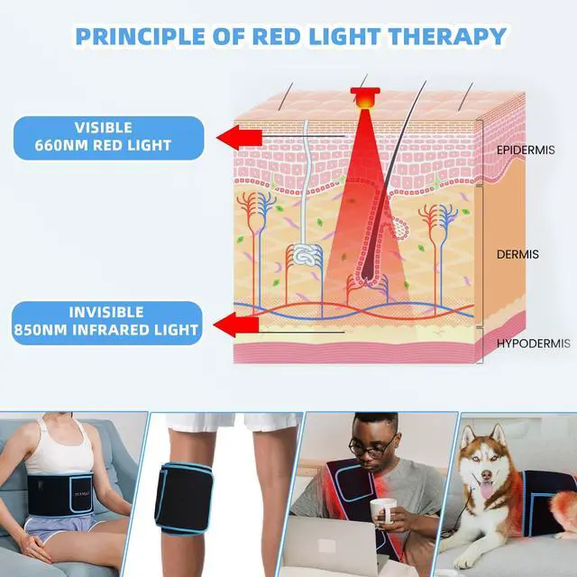 Alt view image 4 of 7 - Red Light Therapy, Infrared Light Therapy for Body Waist Back Shoulder Leg Knee Muscle Relief, LED 3 Chips in 1 660nm 850nm Wearable Large Red Light Belt with Timer Remote, Ideal Gift for Woman Man