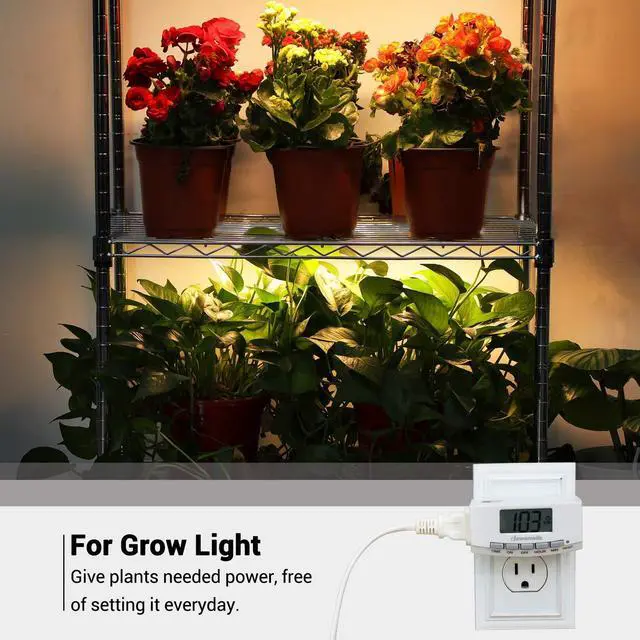 Alt view image 5 of 7 - 24 Hour Digital Light Timer, 1 Polarized Outlet