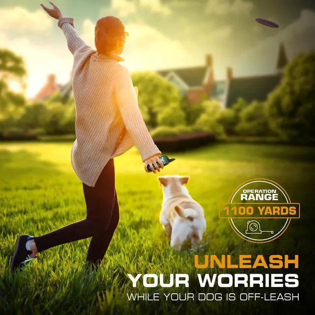 Alt view image 7 of 7 - Dog Training Collar with Remote, Shock Collar for Dogs, 3300 ft