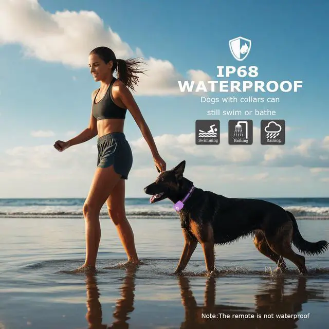 Alt view image 4 of 7 - Shock Collar for Dogs 2600FT, 3 Modes, IPX8 Waterproof, Purple