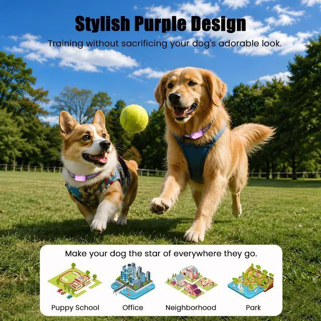 Alt view image 7 of 7 - Shock Collar for Dogs 2600FT, 3 Modes, IPX8 Waterproof, Purple