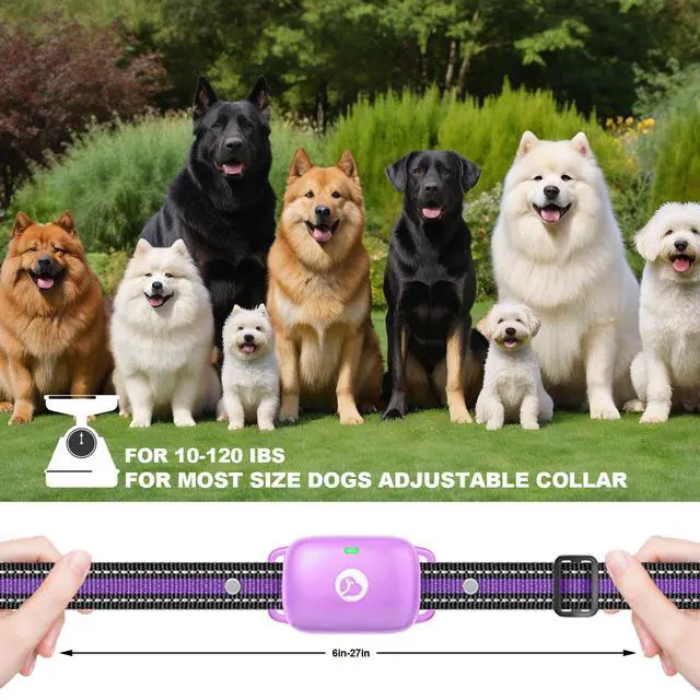 Alt view image 5 of 7 - Shock Collar for Dogs 2600FT, 3 Modes, IPX8 Waterproof, Purple