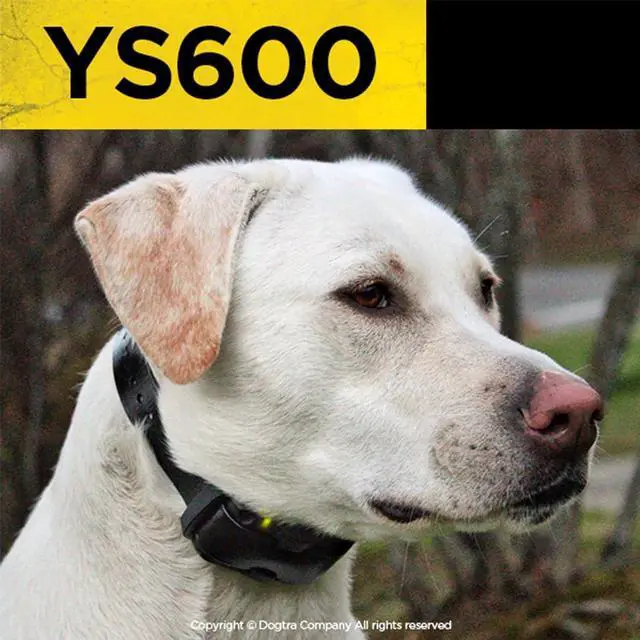 Alt view image 5 of 7 - YS600 Rechargeable Waterproof High-Output No Bark Collar