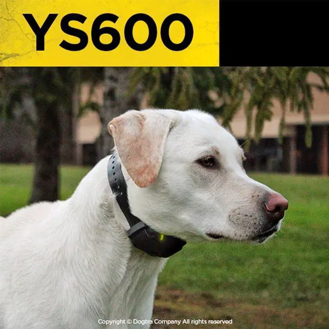 Alt view image 6 of 7 - YS600 Rechargeable Waterproof High-Output No Bark Collar