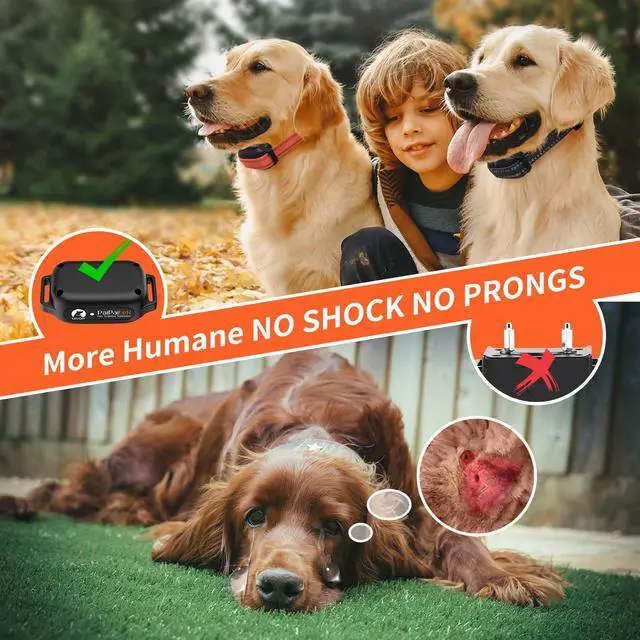 Alt view image 2 of 7 - Dog Vibration Collar with Controller for 2 Dogs No Shock, 9 Types of Beeps and Vibrations, 3300ft Range & Upgraded Waterproof Training Collar for Dogs 5-120lbs - No Prongs