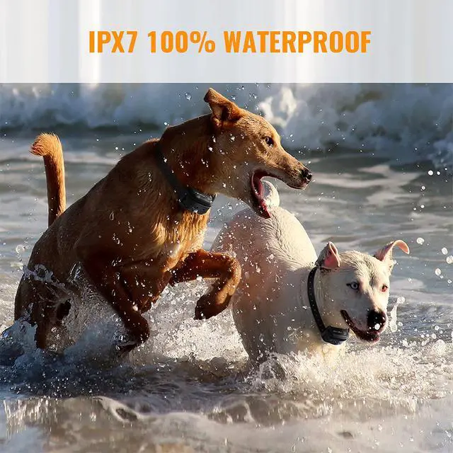 Alt view image 3 of 6 - Dog Training Collar with Remote - Advanced Rechargeable Training Collar for Dogs,Easy to Carry & Fits in Your Pocket,100% Waterproof Trainer