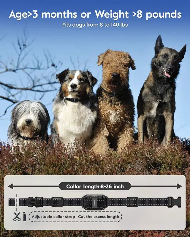 Alt view image 6 of 7 - Dog Training Collar,4200FT Shock Collar for 2 Dogs (8-140lbs)