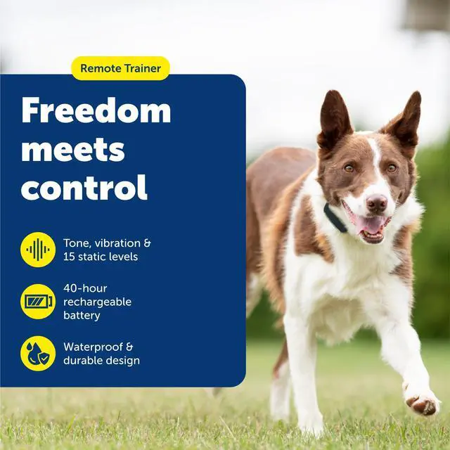 Alt view image 2 of 7 - 100 Yard Remote Trainer, Rechargeable, Waterproof, Tone / Vibration / 15 Levels of Static Stimulation for dogs over 8 lb.
