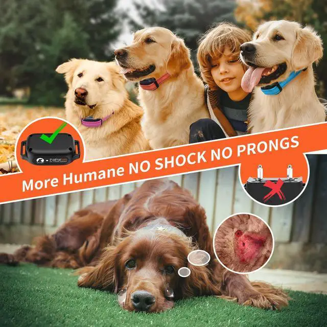 Alt view image 2 of 7 - No Shock Dog Training Collar for 3 Dogs, 9 Levels Vibration & Beep, Waterproof Vibrating Dog Collar with Remote 3300ft, Buzz Collar for Small Medium Large Dogs 5-120 lbs - No Prongs