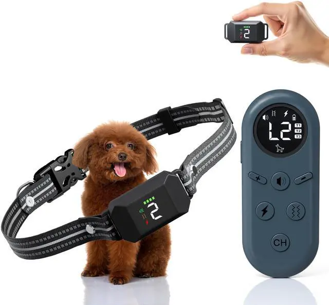 Main image of Shock Collar for Small Dogs, Dog Training Collar with Remote
